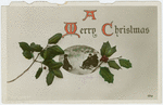 A merry Christmas.