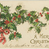A merry Christmas.