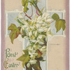 Best Easter wishes.