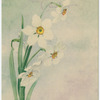 Best wishes for your Easter.