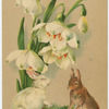 Easter greetings.