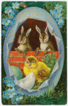 A happy Easter.