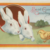 Best Easter greetings.