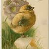 Loving Easter wishes.