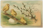 Easter greetings.