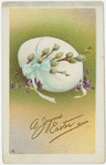 A joyous Easter.