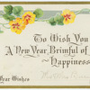 To wish you a New Year brimful of happiness.