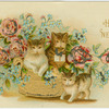 A happy New Year.