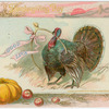 Thanksgiving day.