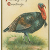Cordial Thanksgiving greetings.