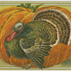 Thanksgiving greetings.
