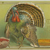 Wishing you a happy Thanksgiving.