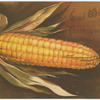 Good wishes for Thanksgiving day.