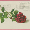 Valentine greeting.