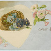 To my sweet love.