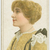 Gallery of beauty series