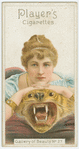 Gallery of beauty series