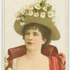 Gallery of beauty series