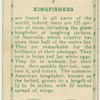 KingFishers.