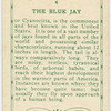 The Blue Jay.