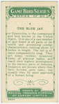 The Blue Jay.