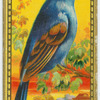 The Blue Grossbeak.