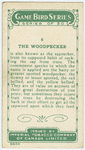 The Woodpecker.