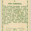 The Cardinal.