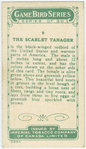 The Scarlet Tanger.
