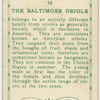 The Baltimore Oriole.