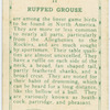Buffed Grouse.