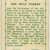 The Wild Turkey.
