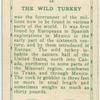 The Wild Turkey.