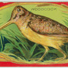The Woodcock.