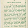 The Woodcock.