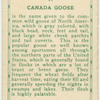Canada Goose.