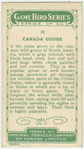Canada Goose.