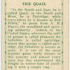 The Quail.