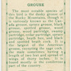 Grouse.