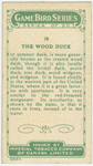 The Wood Duck.