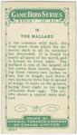 The Mallard.