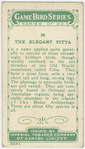 The Elegant Pitta.