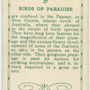 Bird of Paradise.