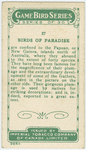 Bird of Paradise.