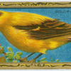 The Goldfinch.