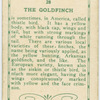 The Goldfinch.