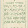 Cerulean Warler.