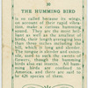 The Humming Bird.