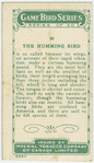 The Humming Bird.