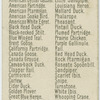 American Bittern.
